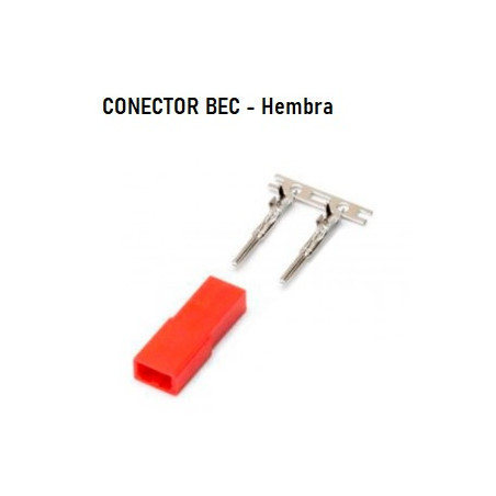 DISMOER : CONECTOR HEMBRA BEC 10 unidades