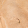 AK : terrains sandy desert 250ML