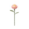 ROBOTIME ROKR : PINK CAMELIA
