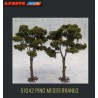 ANESTE : PINO MEDITERRANEO 2 unid. medida 17 cm