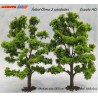 ANESTE : arbol  OLMO  2 unid. Medida 18,5 cm