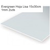 EVERGREEN : HOJAS LISAS  2 unidades 15 x 30 cm - 1 mm.