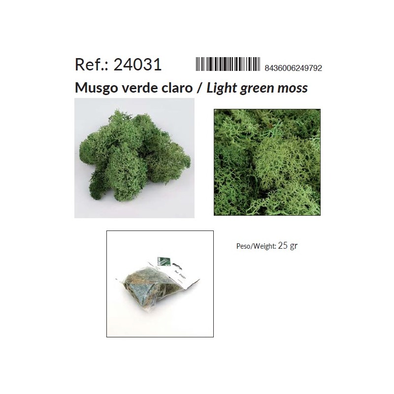 AEDES : MUSGO VERDE CLARO  25 grs