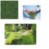 NOCH : Hierba salvaje verde claro, 50 g  escala  HO